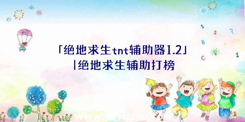 「绝地求生tnt辅助器1.2」|绝地求生辅助打榜